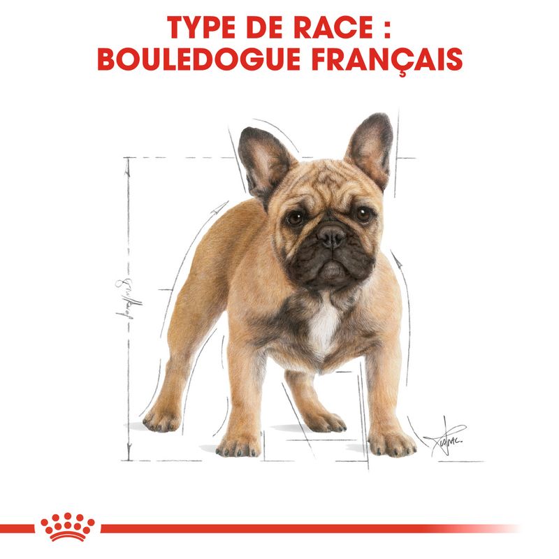 Royal Canin Bouledogue Français Adult à prix discount sur bitiba.fr