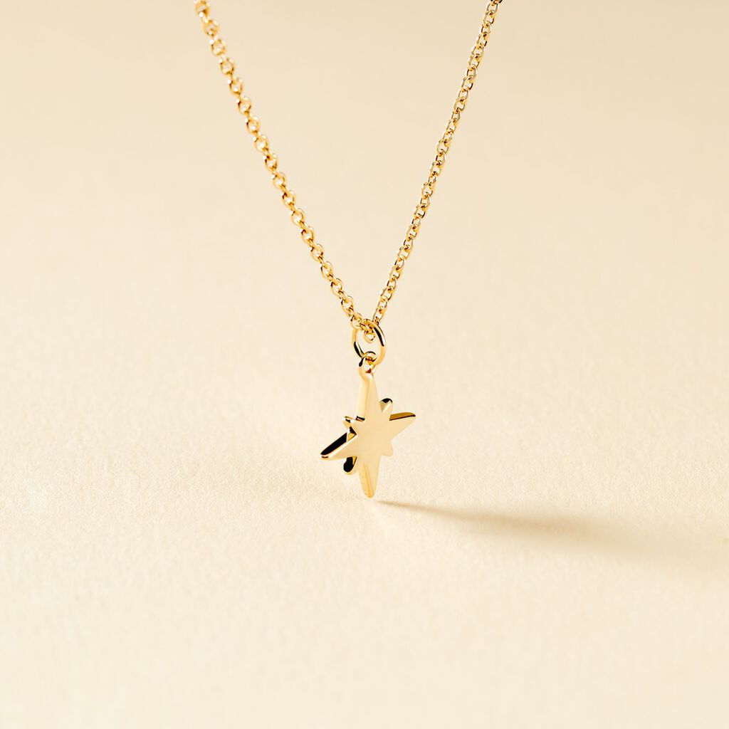 Collier Alisee Plaqué Or Jaune
