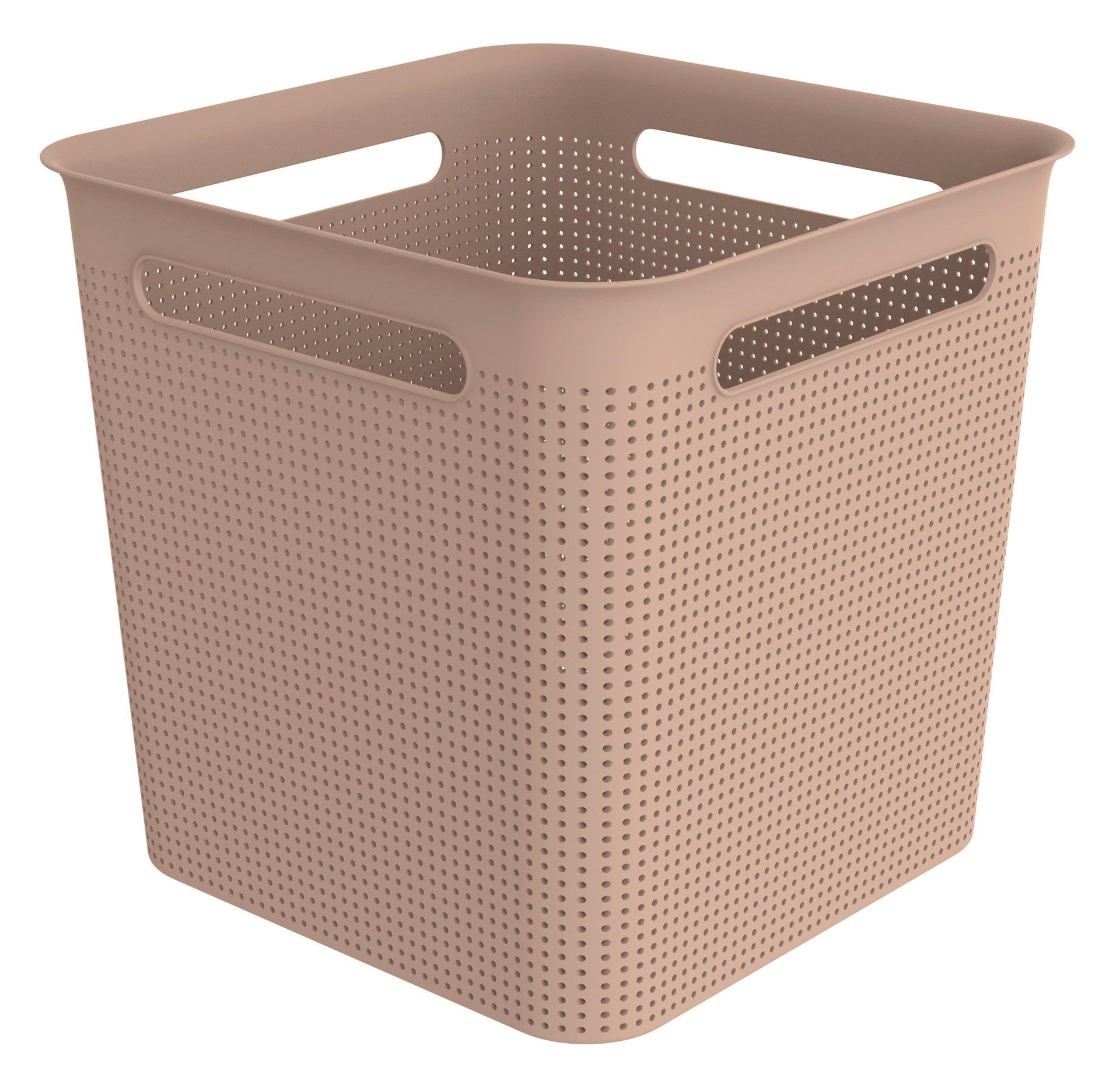 rotho Aufbewahrungsbox BRISEN 18 Liter Meadow rose