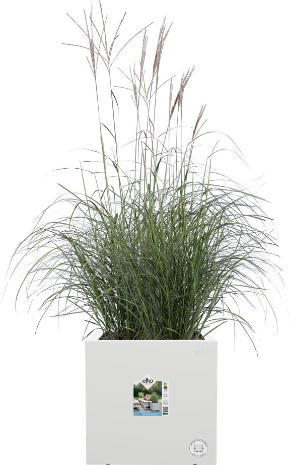 Elho plantenbak Vivo Next wit 29,5 x 29,5 x 29,5 cm