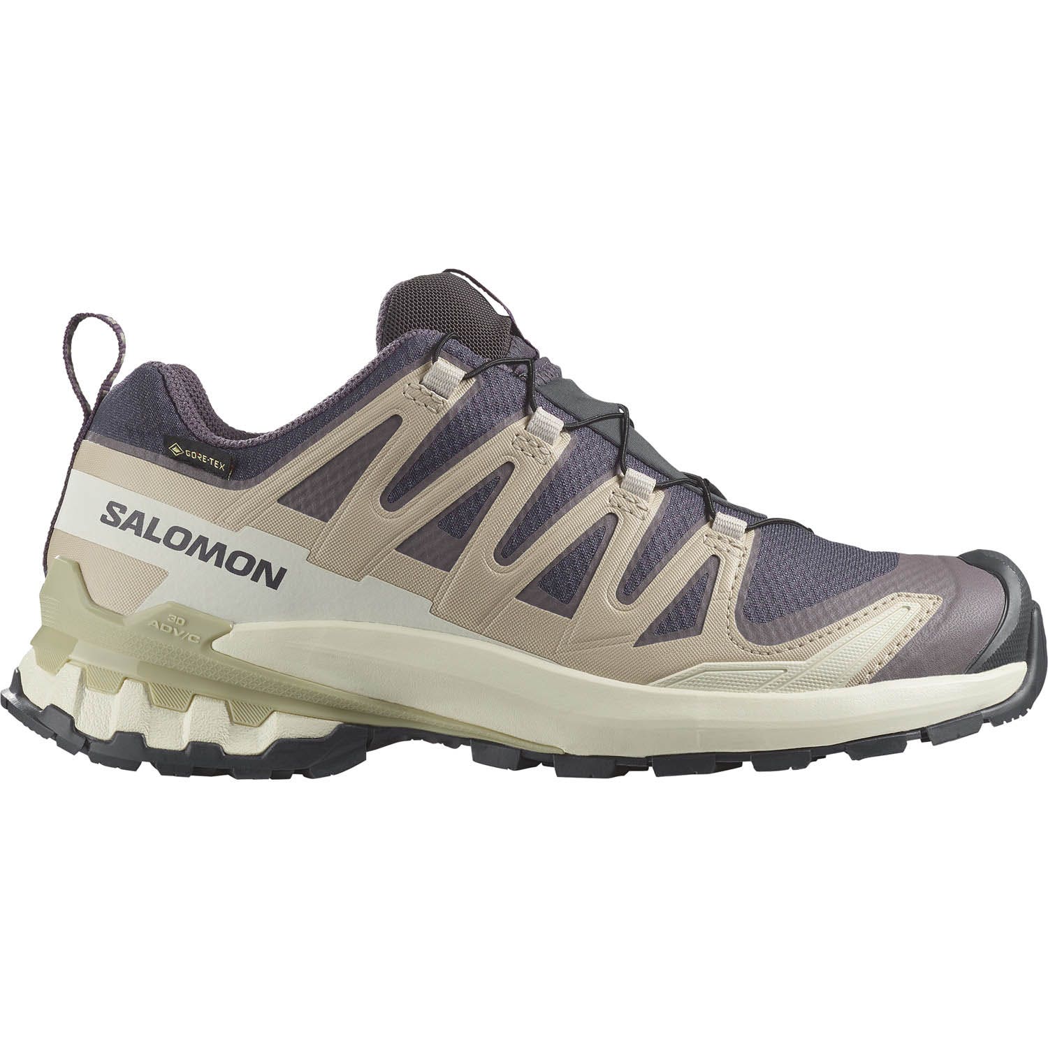 Salomon  XA Pro 3D V9 GTX Dames