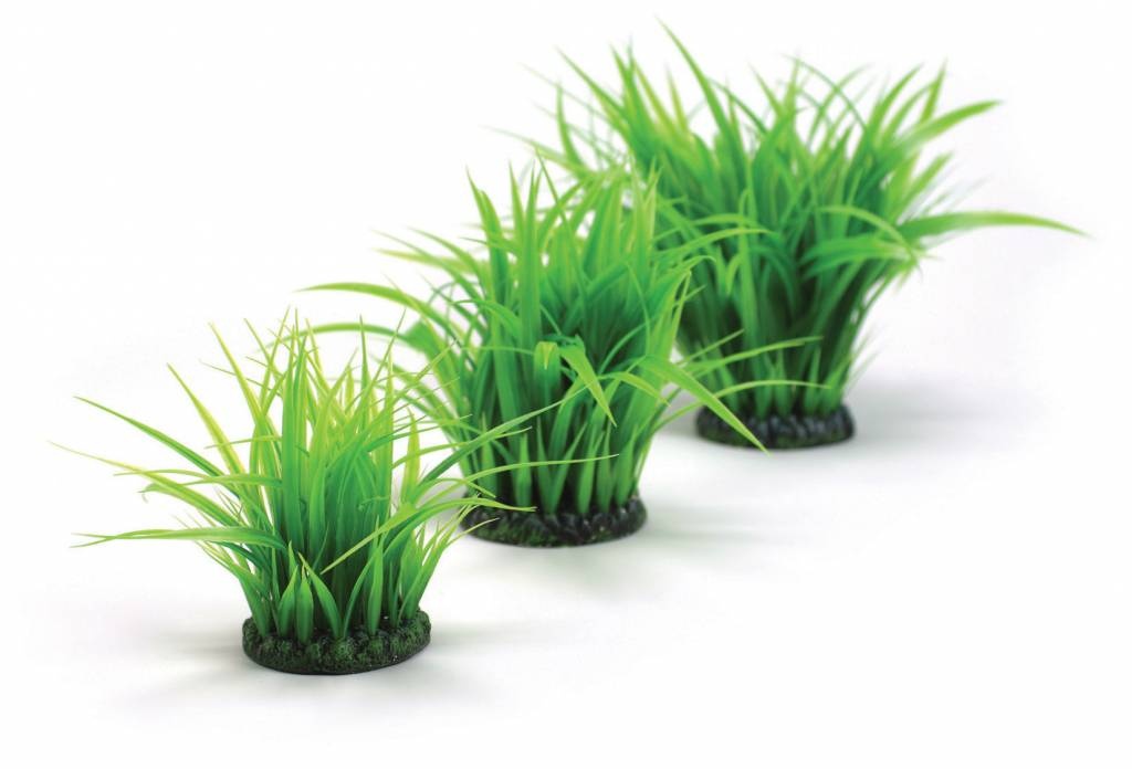 Oase Grasring groen medium