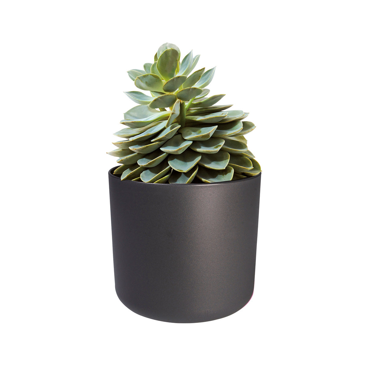 elho B.For Soft Bloempot Rond 35 cm