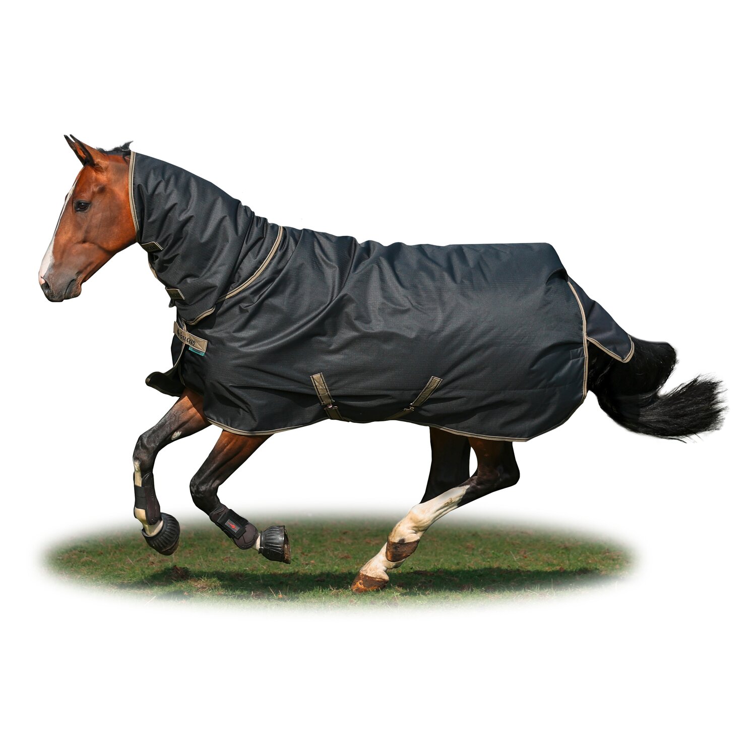 bucas Outdoordecke Freedom Turnout Full Neck Light - schwarz/taupe