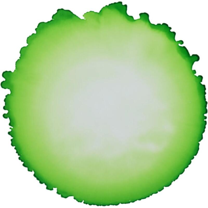 Cernit encre à l'alcool 20 ml Vert prairie - Vert prairie