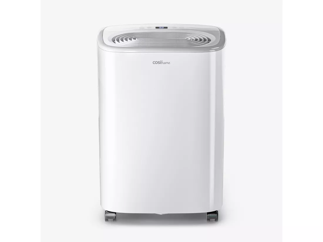 Pro Breeze Déshumidificateur économe en énergie 12 l avec réservoir d'eau de 2,5 l