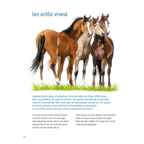 Uitgeverij kluitman alles over paarden