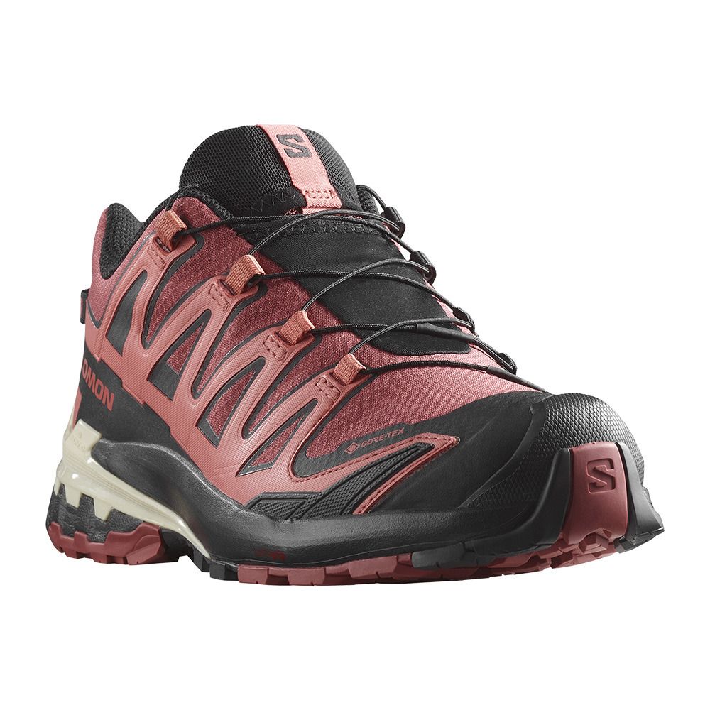 Salomon XA PRO 3D V9 GTX - Chaussures trail Femme cow hide/black/faded rose