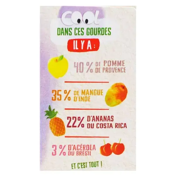 Frutas Secas Vitabio Cool Fruits Maçã Manga Abacaxi Acerola Orgânicas 4 x 90g