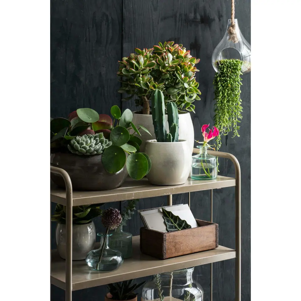 Mica Decorations Bloempot - groen - keramiek - 14 x 12 cm