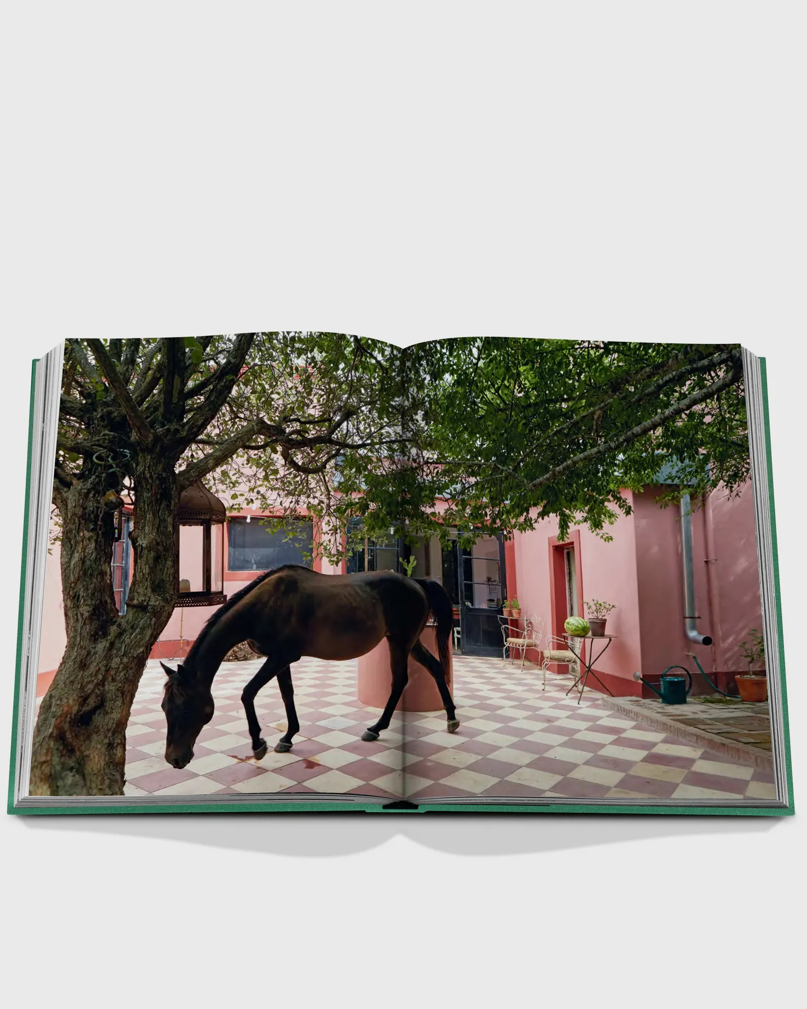 Assouline 