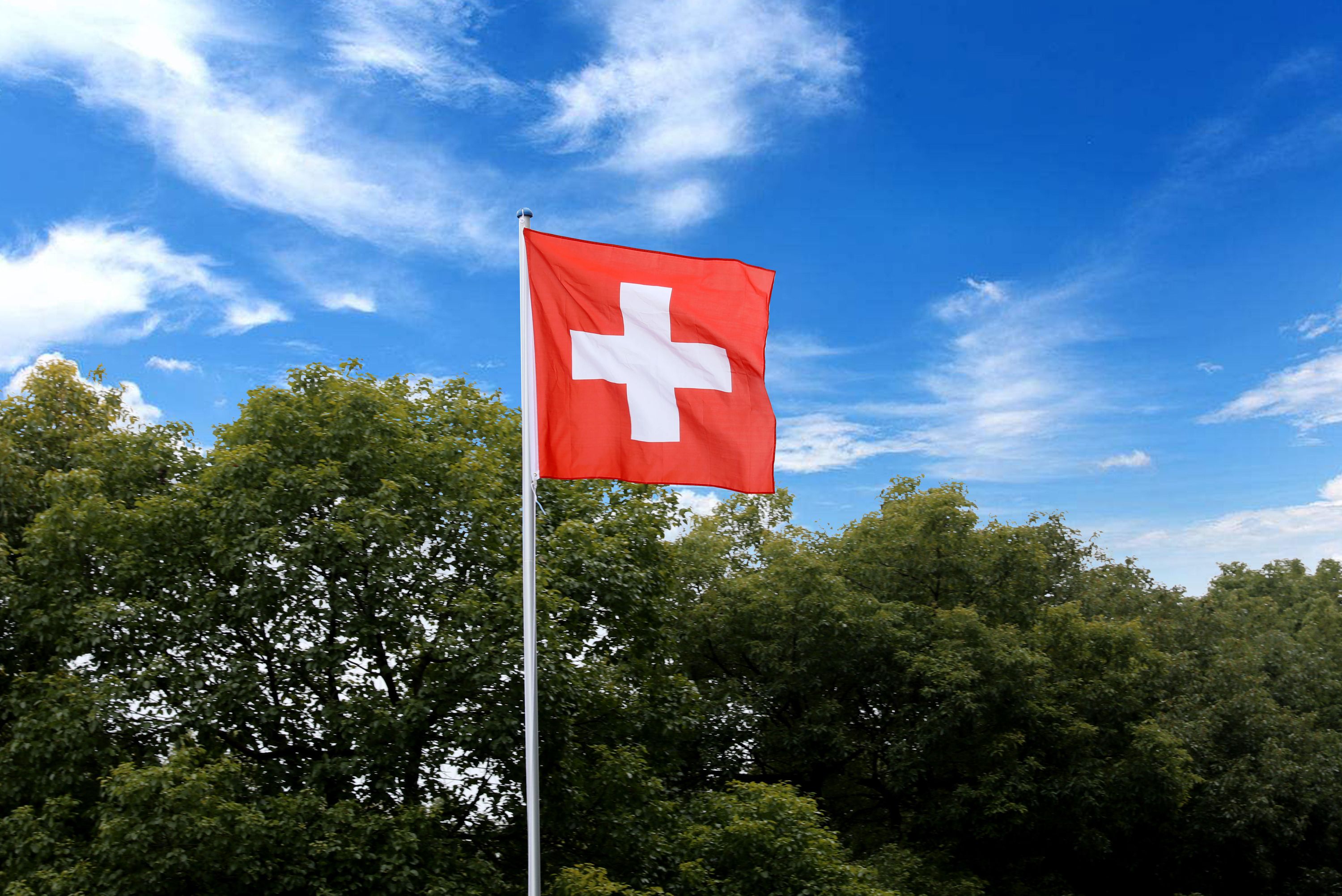 Fahnenmast 6.2 m mit Schweizer Fahne