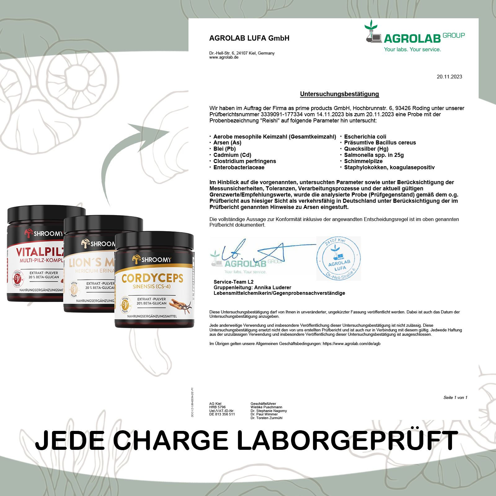 SHROOMY Lions Mane, Cordyceps und Vitalpilze Extrakt Pulver im Set