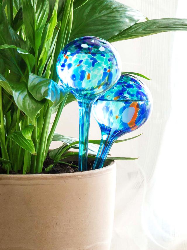 Bewässerungsballons Aqua Loon 2er-Set