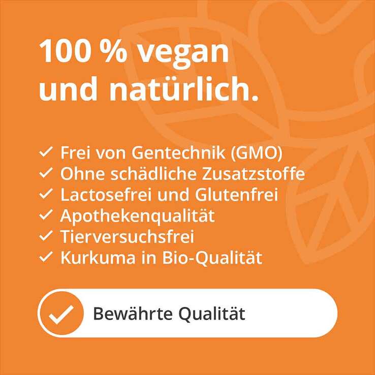 Kurkuma Kapseln + Pfeffer Curcumin hochdosiert, 90 St
