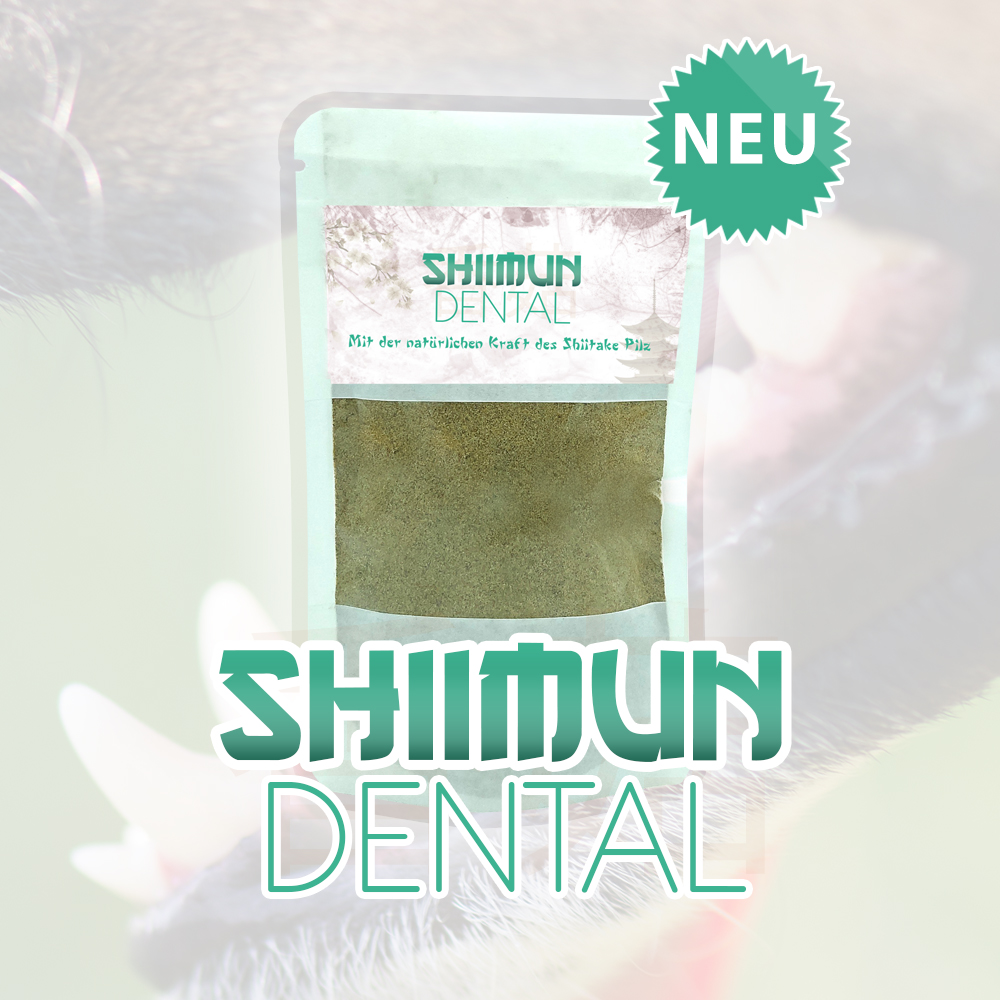 Shiimun dental poudre - shiimun dental pulver - 120g