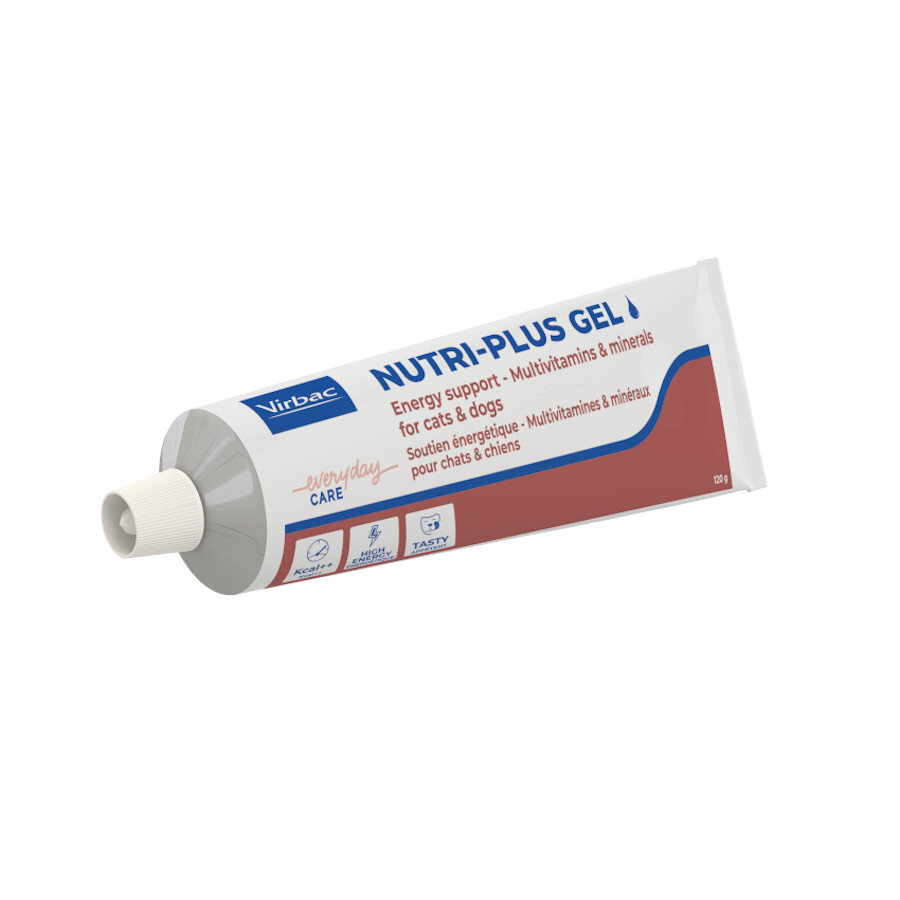 Suplemento em gel Virbac Nutriplus para cães e gatos.