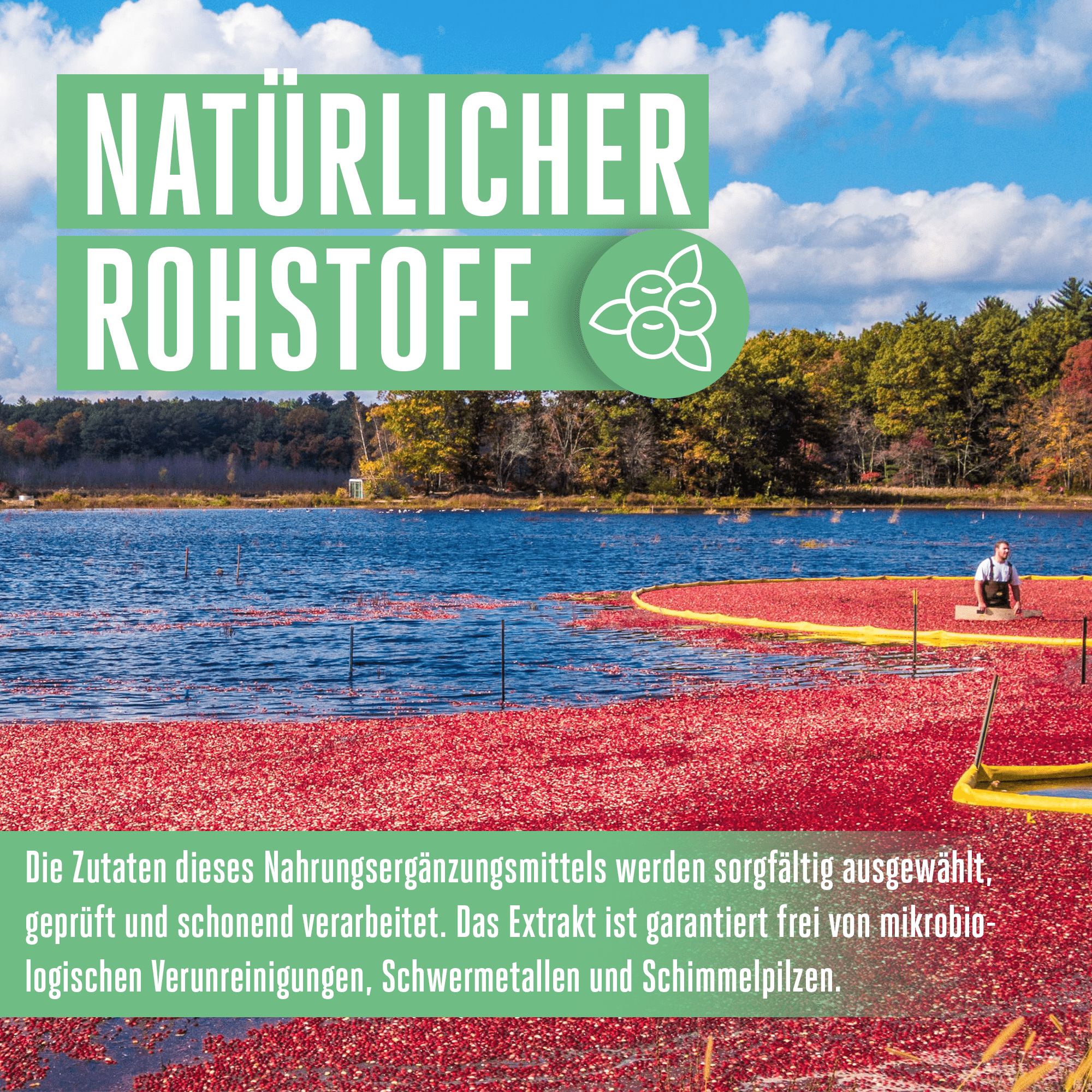 Vitabay Cranberry + Vitamin C 10.000 mg hochdosiert