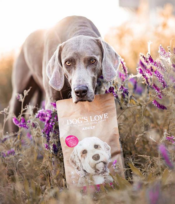 DOG'S LOVE Trockenfutter für Hunde Adult