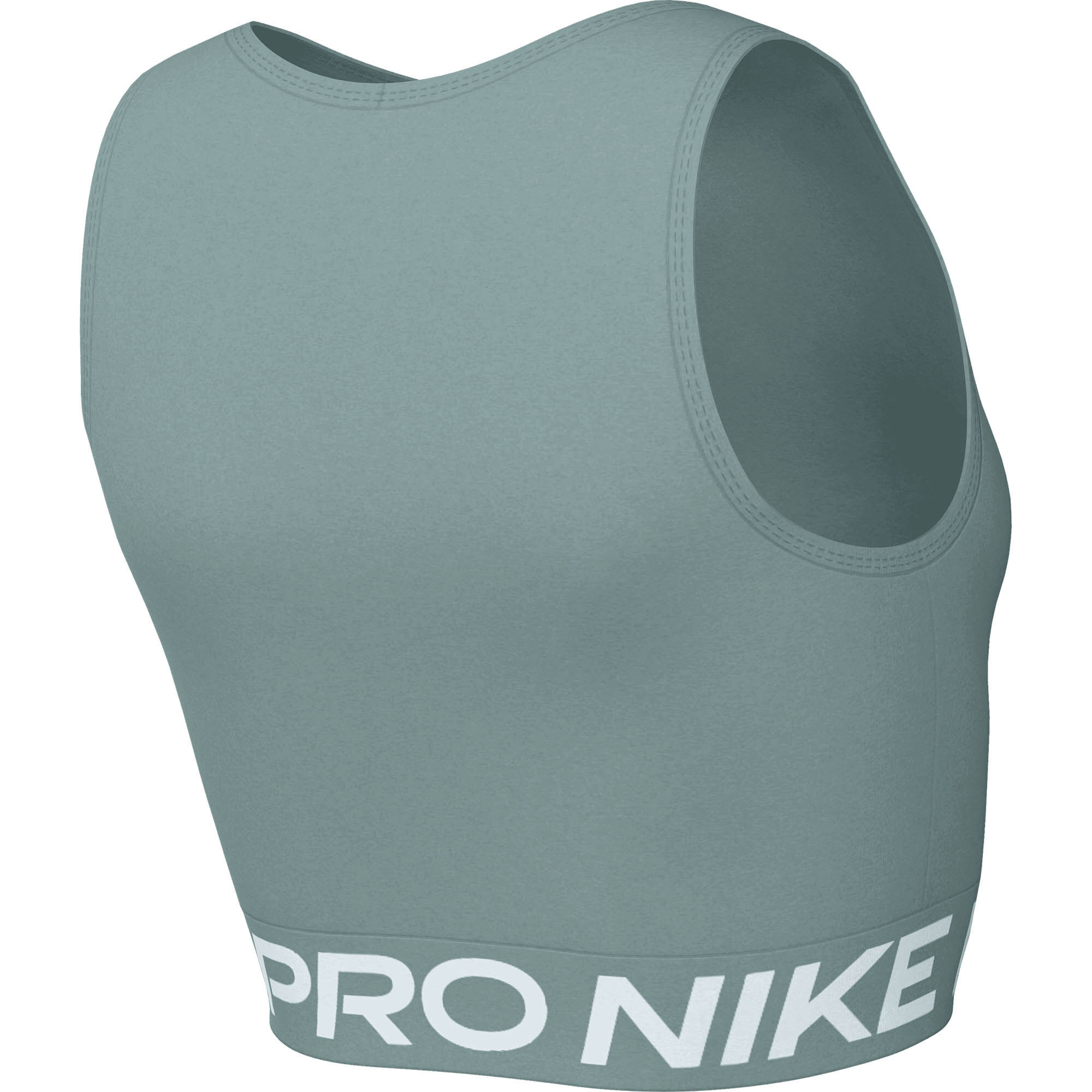 NikeNike Pro 365 Women