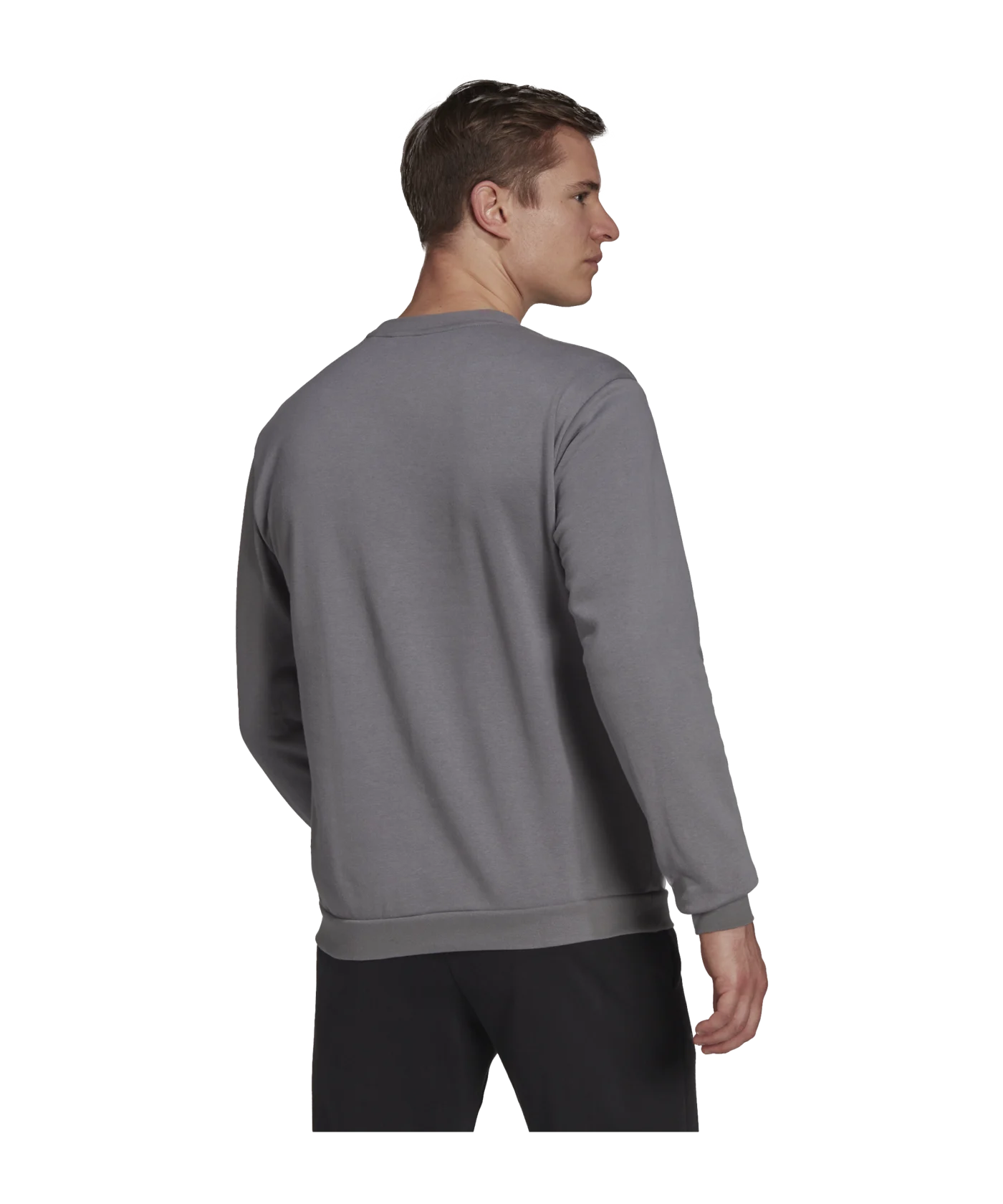 adidas Entrada 22 Sweatshirt Grau