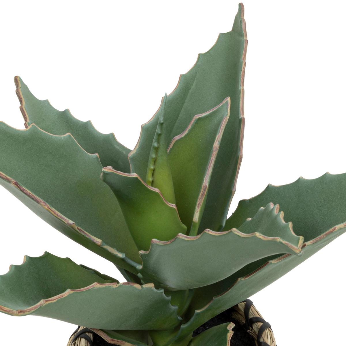 SAMOURAI POT NATUREL PIO H.26CM
