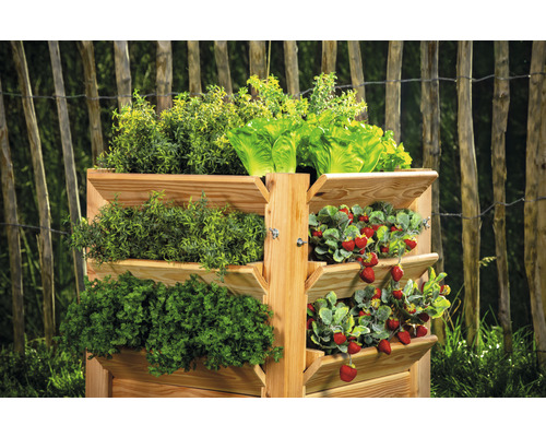 Premium verhoogde tuinbak WESTMANN maat L 65 x 65 x 73 cm naturel