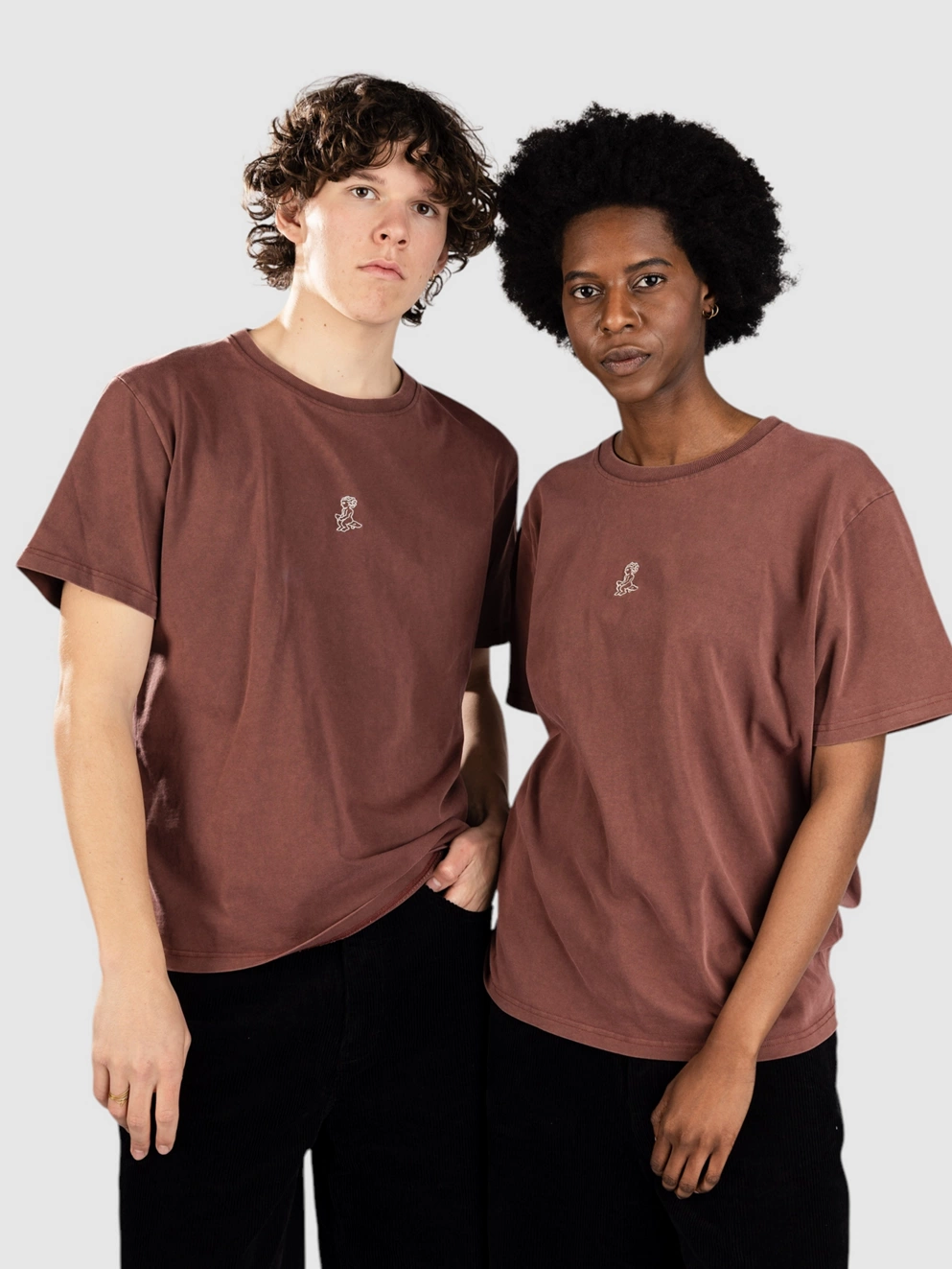 Ementa SB Big Ikon T-Shirt burgundy washed