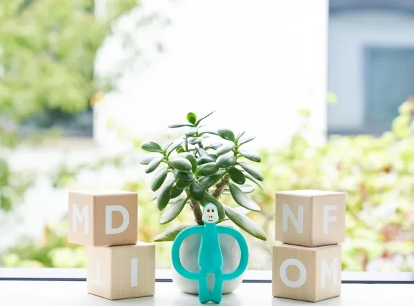 Matchstick Monkey Teether Dinosaur