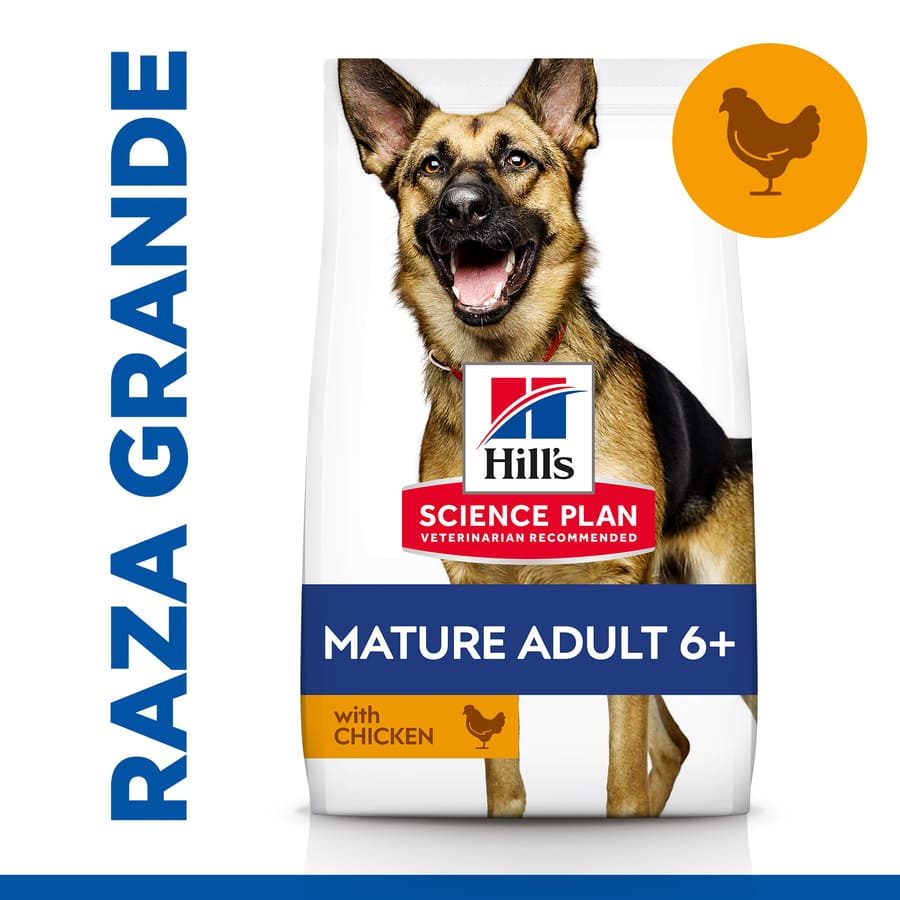 Ração Hill's Science Plan para cães adultos de porte grande com sabor de frango