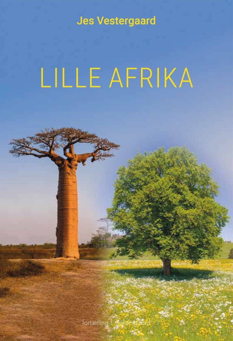 Lille Afrika - Jes Vestergaard - Bog