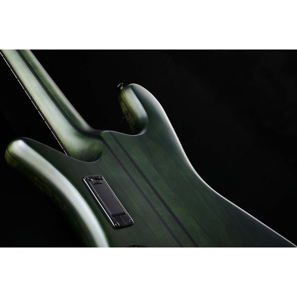 Spector NS Dimension MS 4 Haunted Moss