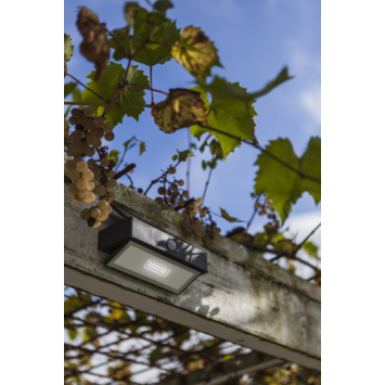 Lutec solar buitenlamp Arrow  met bewegingsmelder