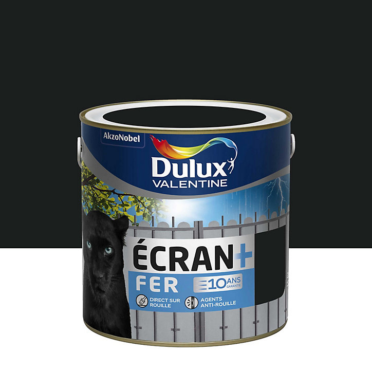 Peinture extérieure Ecran+ Fer protection antirouille Dulux Valentine brillant noir RAL 9005 2L