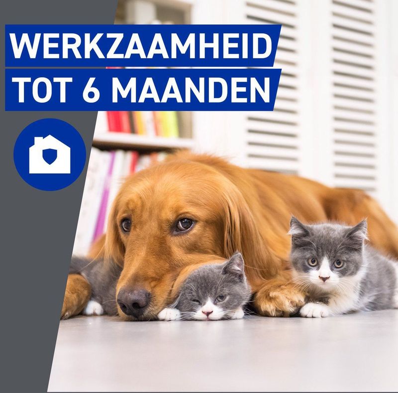 Frontline Homegard - Anti Vlooien Omgevingsspray - 500 ml
