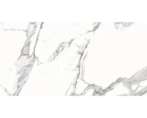 Porseleinen wand- en vloertegel Calacatta 119,7 x 59,7 x 0,8 cm wit gepolijst gerectificeerd