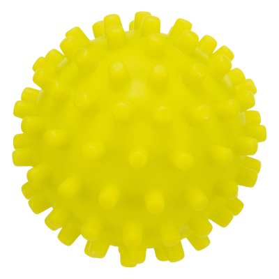 Trixie Igelball grosse Noppen D: 10cm