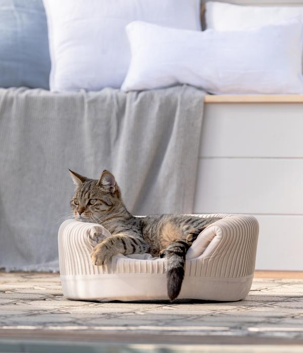Dehner Lieblinge Kuschelhöhle Baroque 2 in 1,