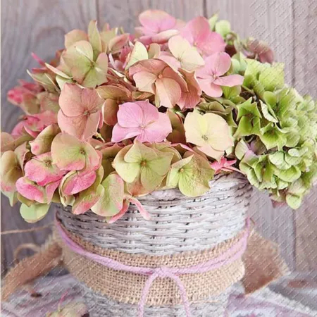 STEWO Serviette 33x33cm Erla h.li 20St