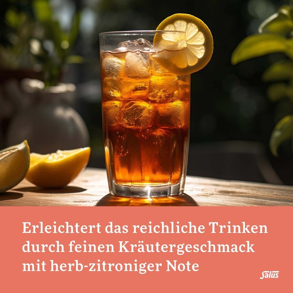 Salus FreeBalance Gerstengras-Birke 10-Kräuter-Elixier