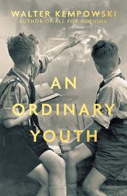 An Ordinary Youth: A Novel (Hardback)