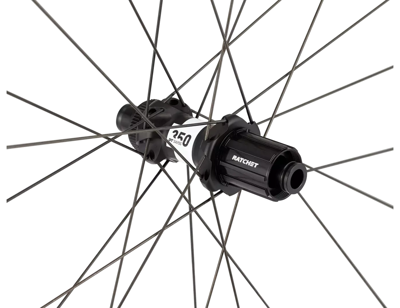Roval Alpinist SLX 24 II Tubeless Disc Race Achterwiel Zwart/Grijs