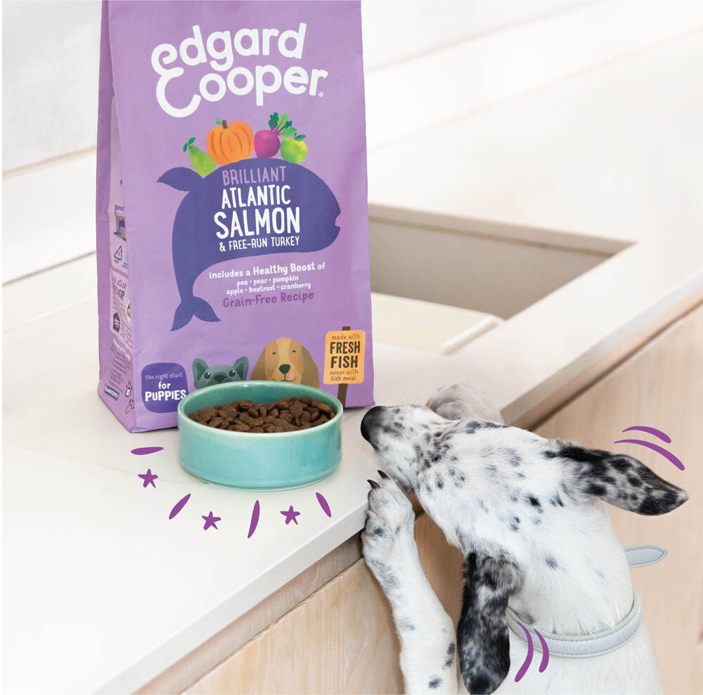 Edgard & Cooper Puppy - Hondenvoer - 2.5 Kilogram - kalkoen, zalm