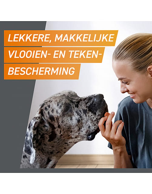 Frontpro Vlo Teek Kauwtablet Hond