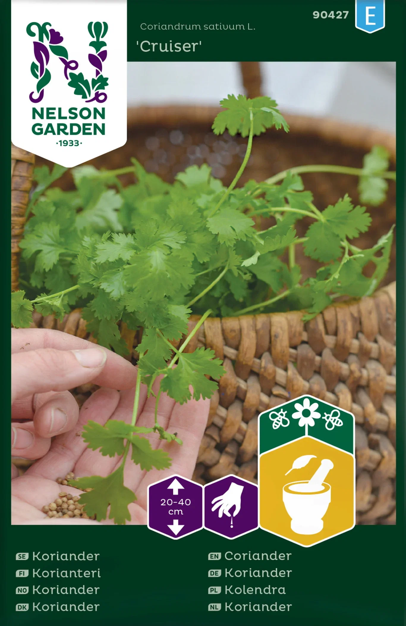 Coriandrum sativum 'Cruiser' Koriander 'Cruiser'