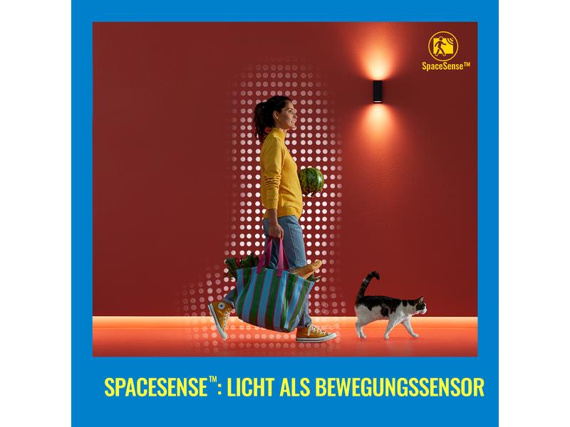 WiZ Leuchtmittel 8W (60W) E27 A60 RGB FR Einzelpack Smartes Leuchtmittel, steuerbar über Bluetooth, Matter, WLAN