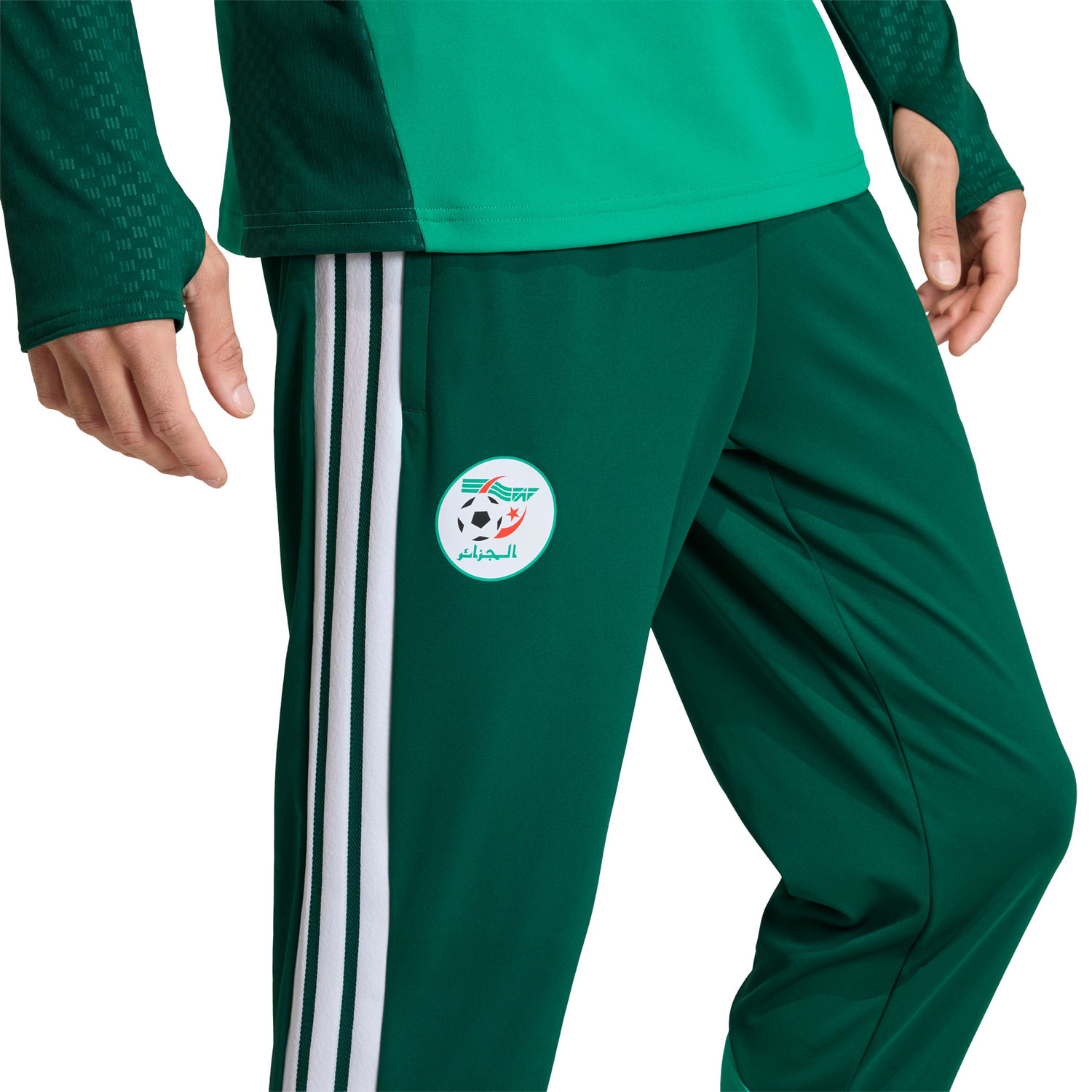adidas Algerije Trainingspak WK 2026