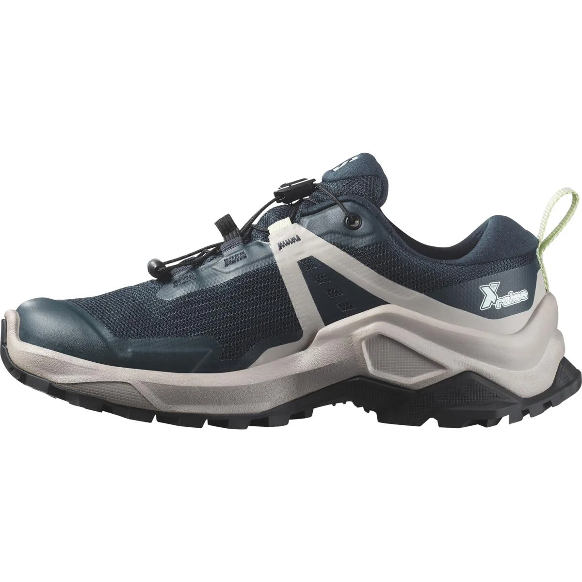 Salomon X Raise Gore-Tex Carbon / Ashes Of Roses / Clearly Aqua