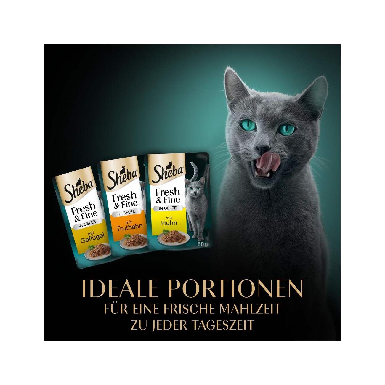 Sheba Fresh & Fine Nassfutter Katze Adult, Multipack, in Gelee 36x50 g Truthahn, Huhn und Geflügel