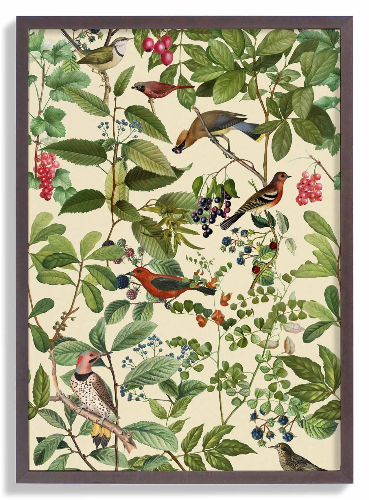 Vögel und Beeren von Andrea Haase